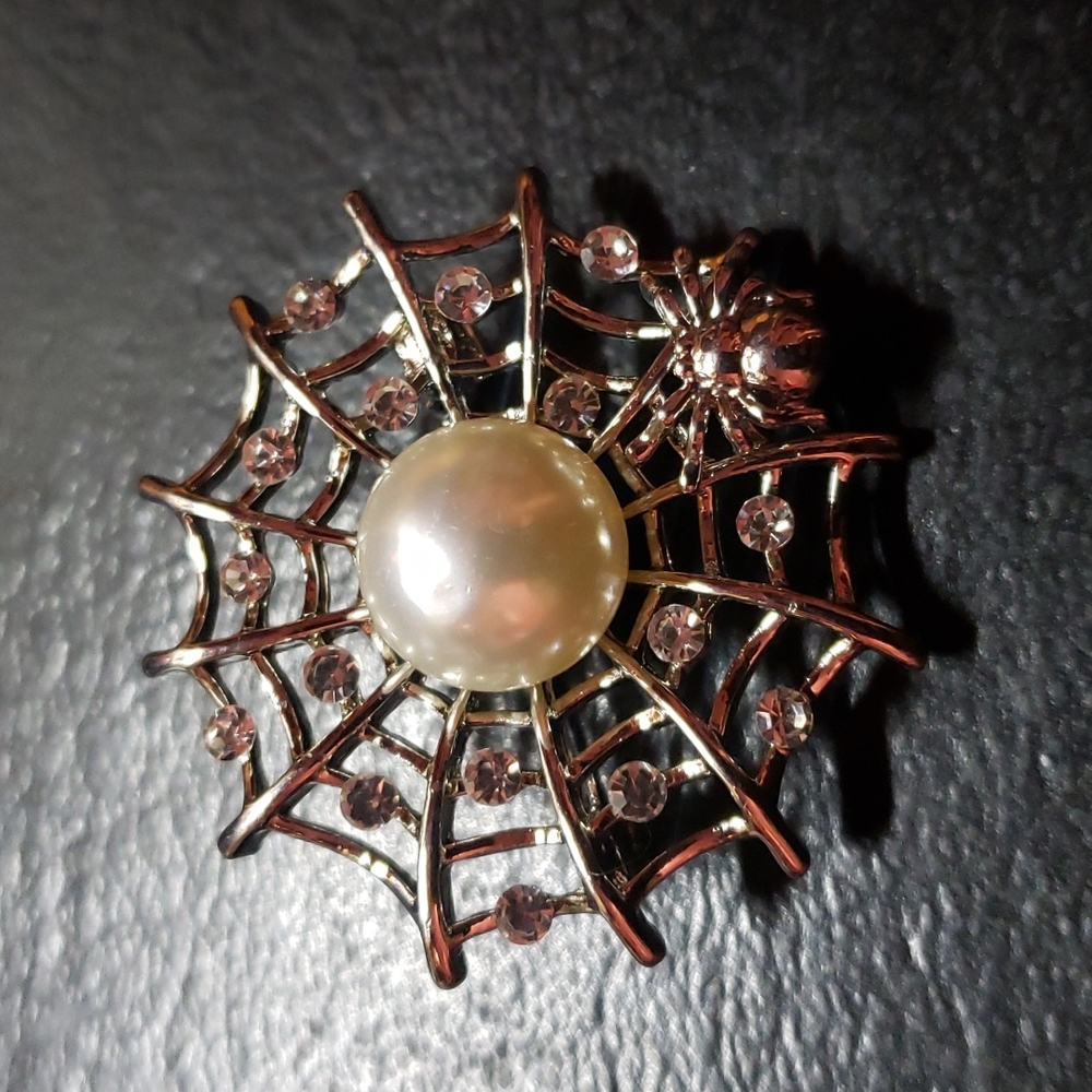 Web and Spider Brooch